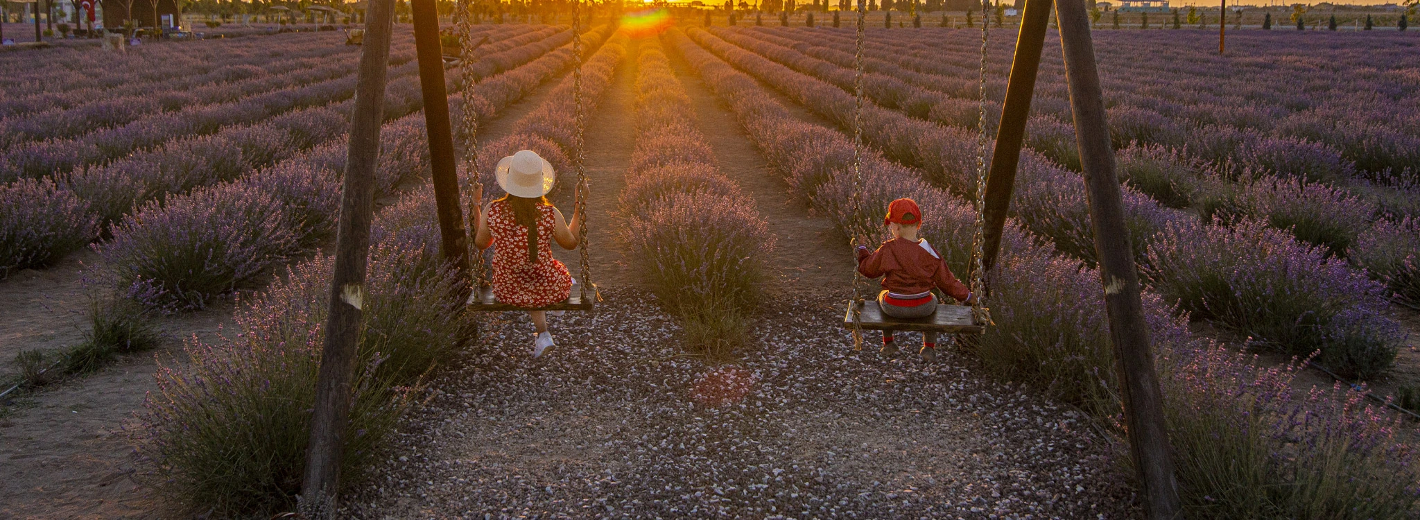 Karatay Lavanta Günleri